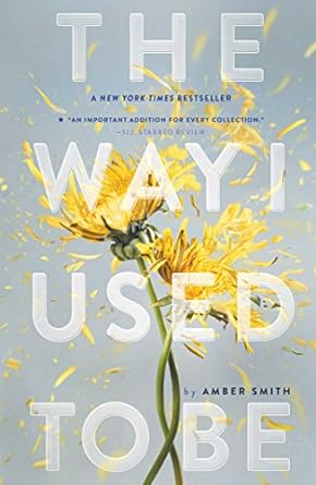 The Way I Used to Be Book by Amber Smith