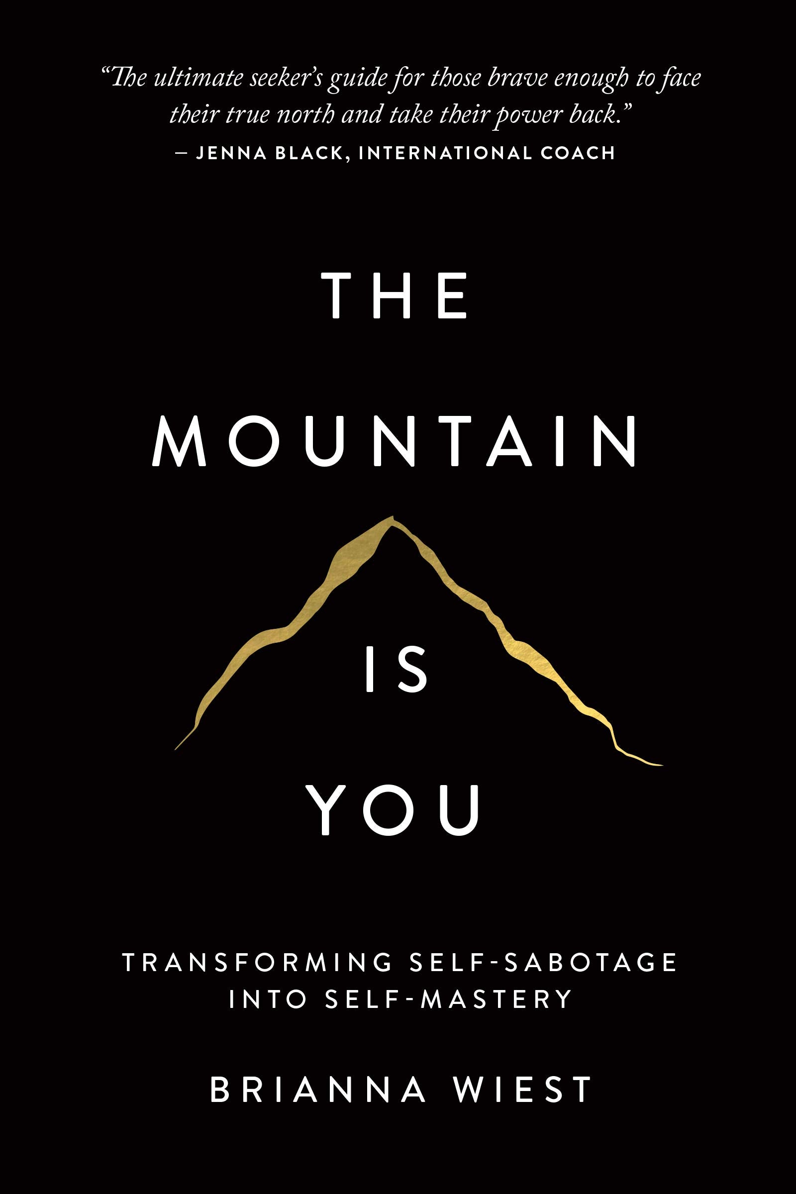 The mountain is you by Brianna Weist