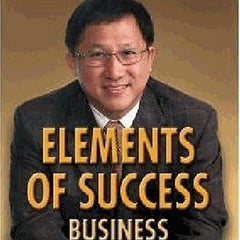 Elements of success  by Koh Seng Choon