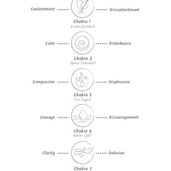 Spiritual Anatomy: Meditation, Chakras, and the Journey to the Center by Daaji Kamlesh D. Patel