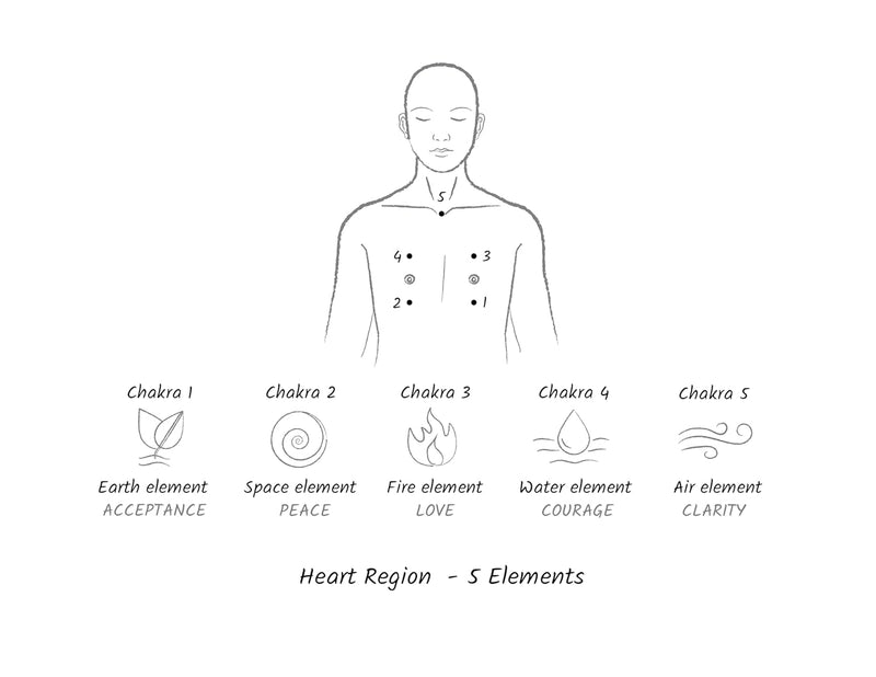 Spiritual Anatomy: Meditation, Chakras, and the Journey to the Center by Daaji Kamlesh D. Patel