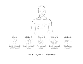 Spiritual Anatomy: Meditation, Chakras, and the Journey to the Center by Daaji Kamlesh D. Patel