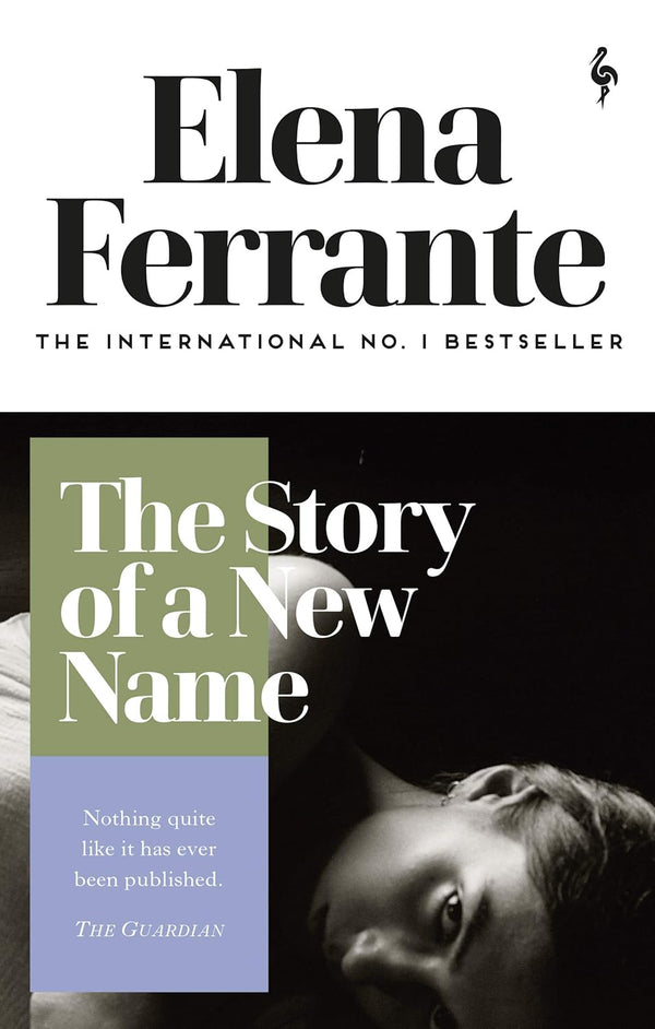 The Story of a New Name (Neapolitan Quartet) by Elena Ferrante and Ann Goldstein