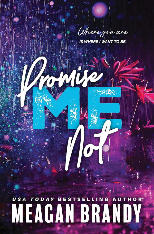 Promise Me Not by Meagan Brandy