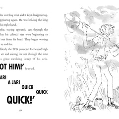 The BFG by Roald Dahl