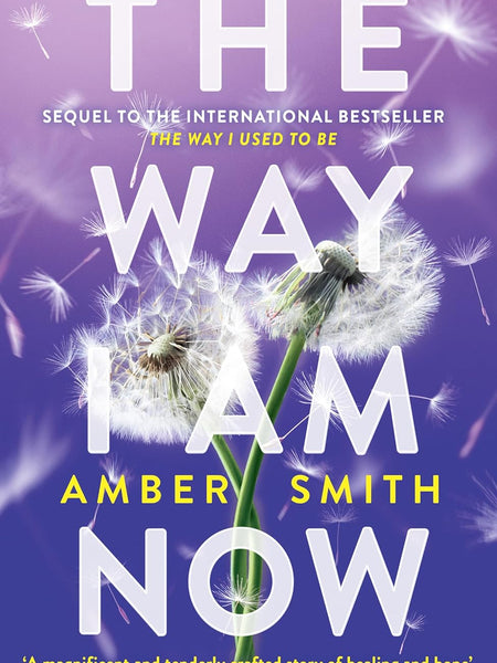 The Way I Am Now (The Way I Used to Be) by Amber Smith