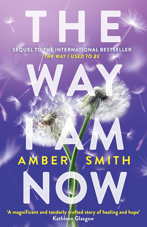 The Way I Am Now (The Way I Used to Be) by Amber Smith