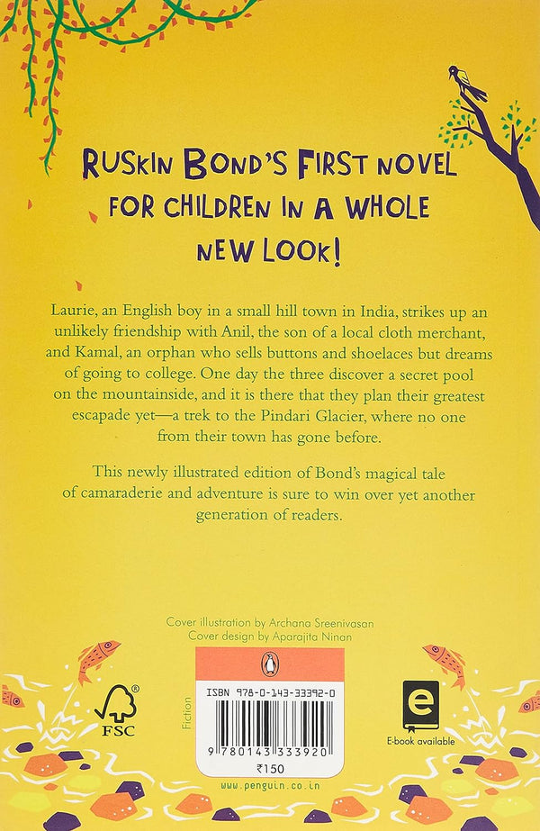 The Hidden Pool Book by Ruskin Bond