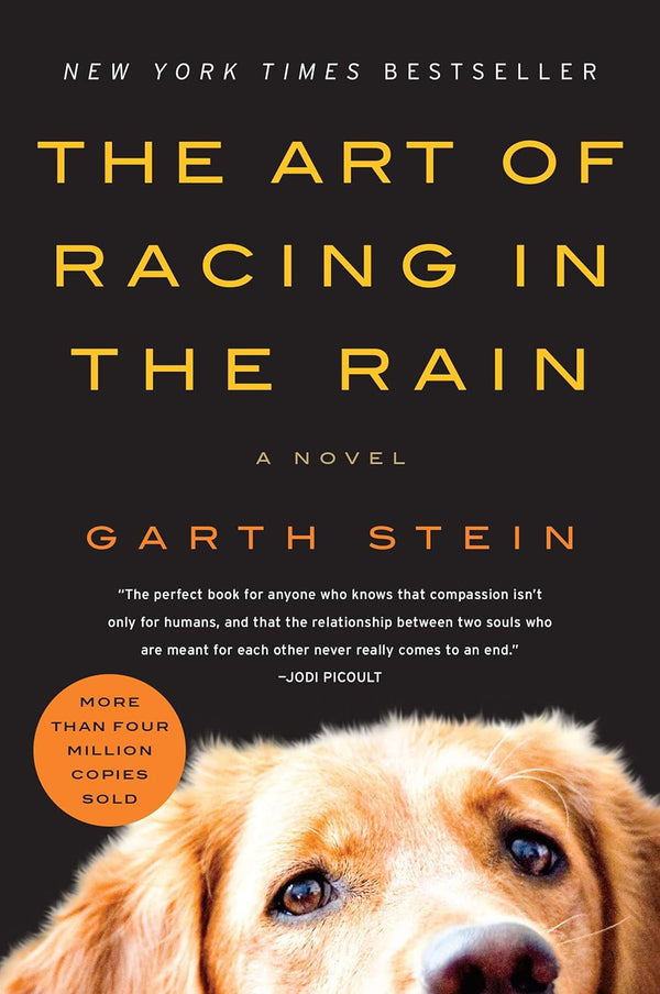 The Art of Racing in the Rain by Garth Stein