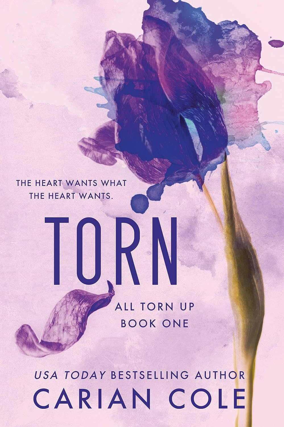 Torn (All Torn Up Book 1) by Carian Cole – Bindass Books