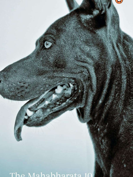 Mahabharata, The: Volume 10 (PB) by Bibek Debroy (Tr)