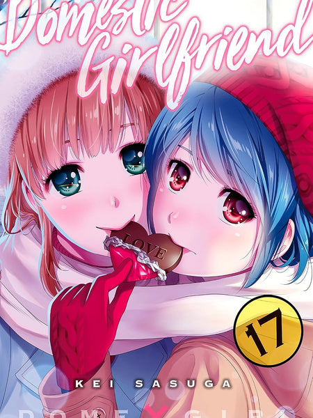 Domestic Girlfriend Vol. 17 by Kei Sasuga