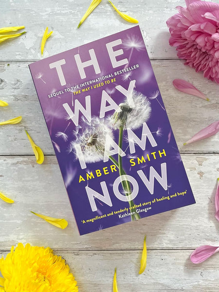 The Way I Am Now (The Way I Used to Be) by Amber Smith