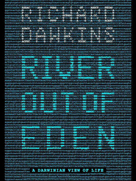 RIVER OUT OF EDEN Richard Dawkins