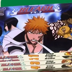 Bleach Volumes 1-4 by Tite Kubo!