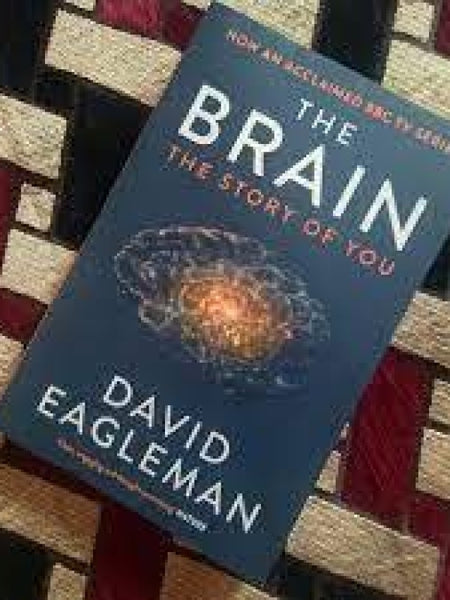 The Brain: The Story of You Book by David Eagleman
