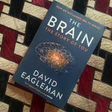 The Brain: The Story of You Book by David Eagleman